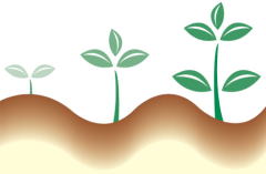 ���̖с`���������ƐL�тĂق���